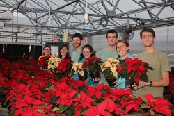 PoinsettiaSale2015_GroupShotsmall-250x167.jpg