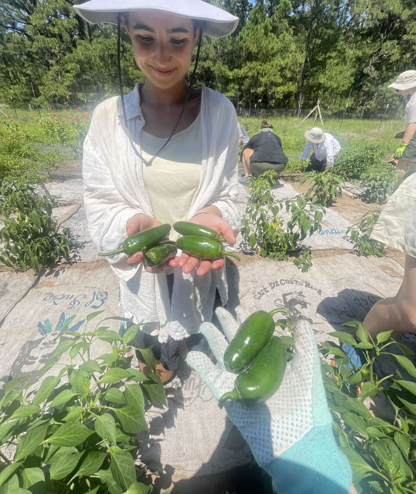 Maya Alandete on Sapelo Island garden