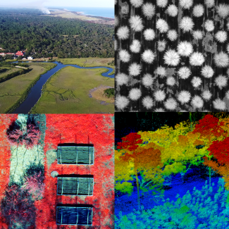 composite of four images, with aerial and infrared photos