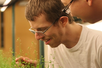 photo of men with plants