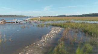 photo of water, reef, and marsh, day