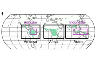 graphic atlas with tropical regions regions highlighted