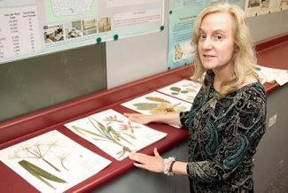 woman with plant illustrations