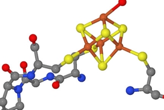 ball and stick model of protein 