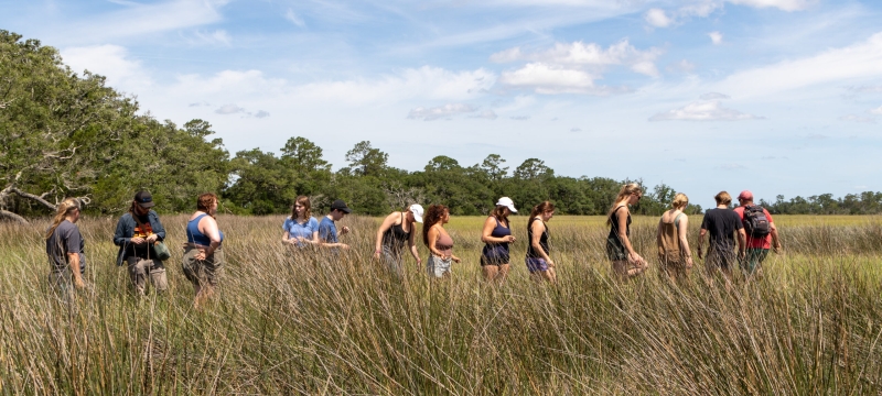 photo of people walking in marsh, day