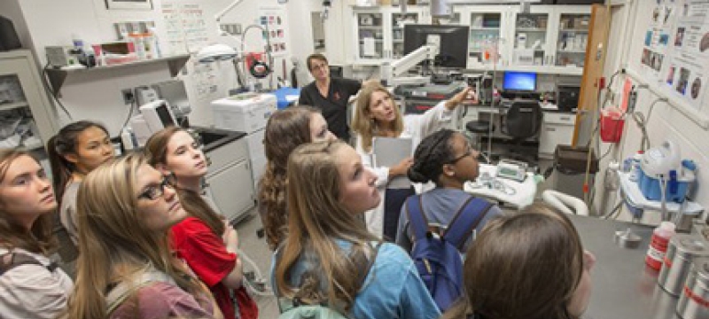 students in a vet med lab
