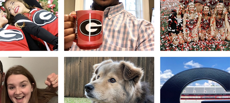 composite grid of six photos with people and dog