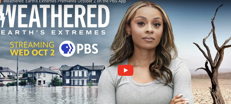 graphic with video still, text, flood and bare tree