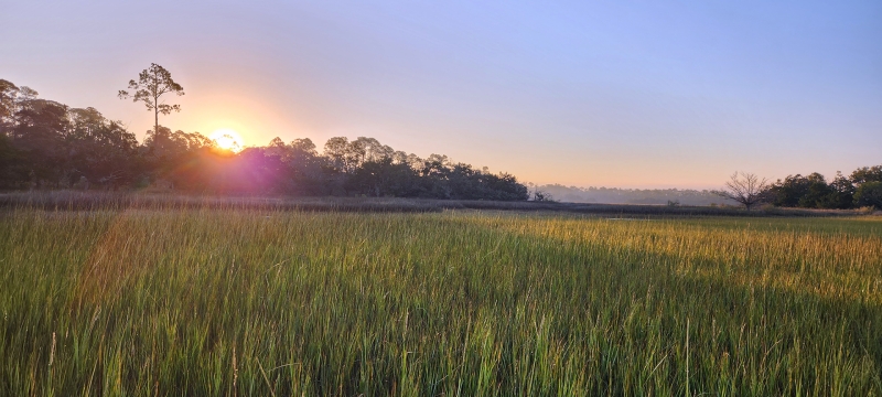 photo of sunrise over marsh