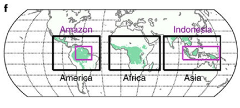 graphic atlas with tropical regions regions highlighted