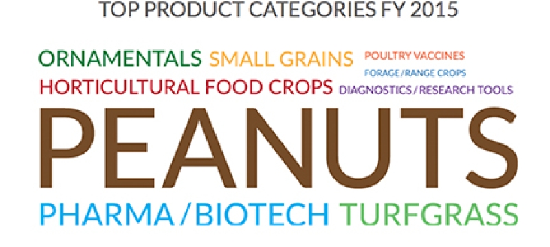 colored text on white