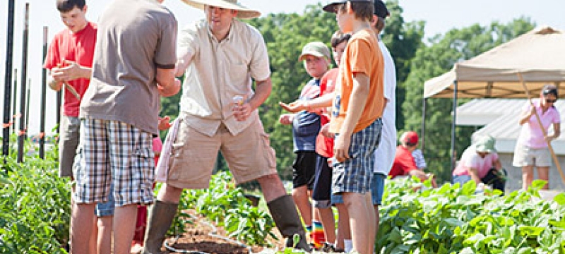 people, children, in a garden