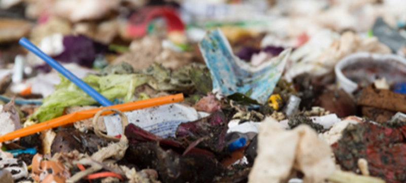 photo of recycling and trash