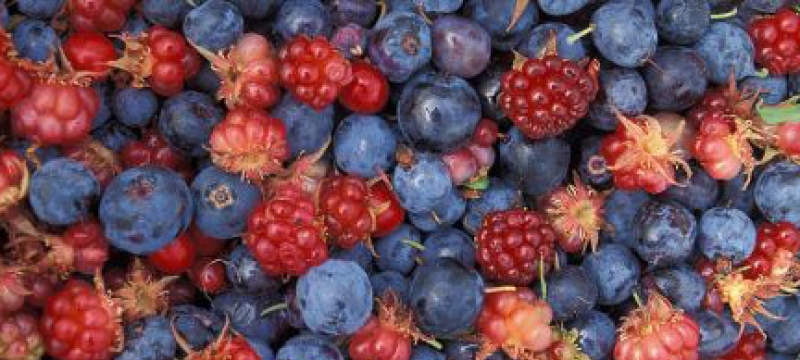 blueberries and strawberries