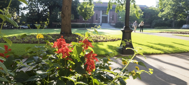 photo of flowers with building, two people, in the background 