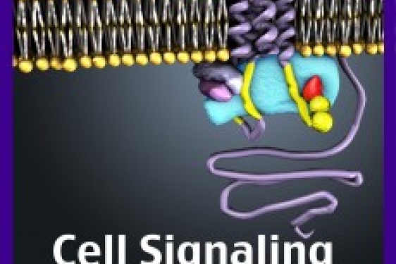 cell structure graphic on greg background