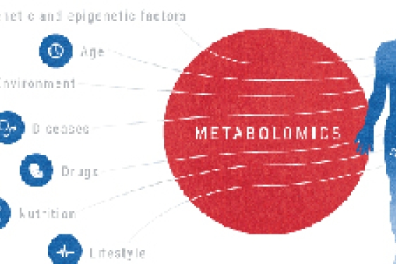 body health graphic