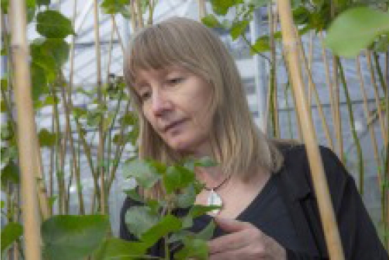 woman with plants