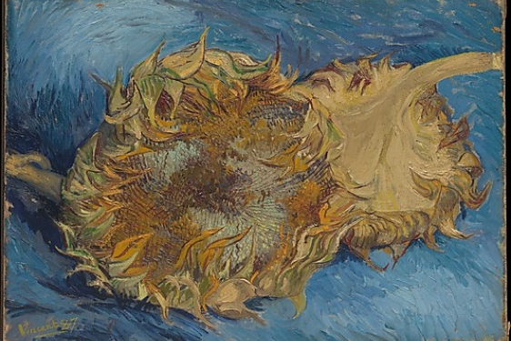 van Gogh's Sunflowers