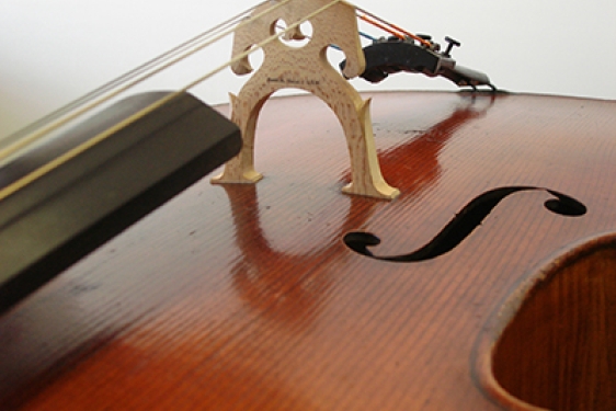 cello close up