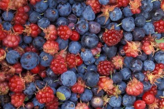 blueberries and strawberries