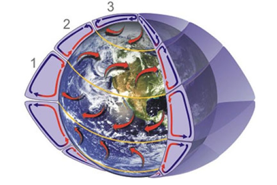 graphic of global circulation