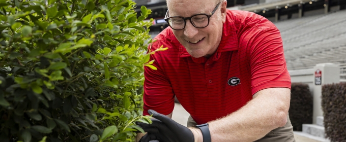 photo of man, clipping hedge in stadium